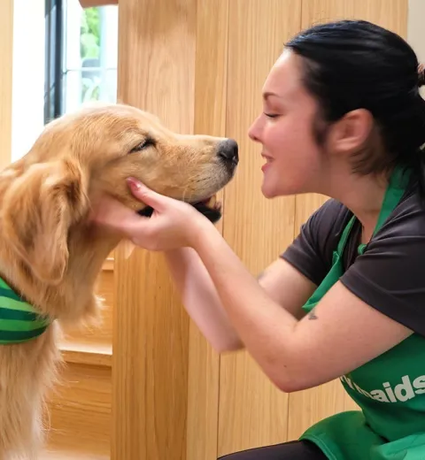merry maids playing with a client's pet